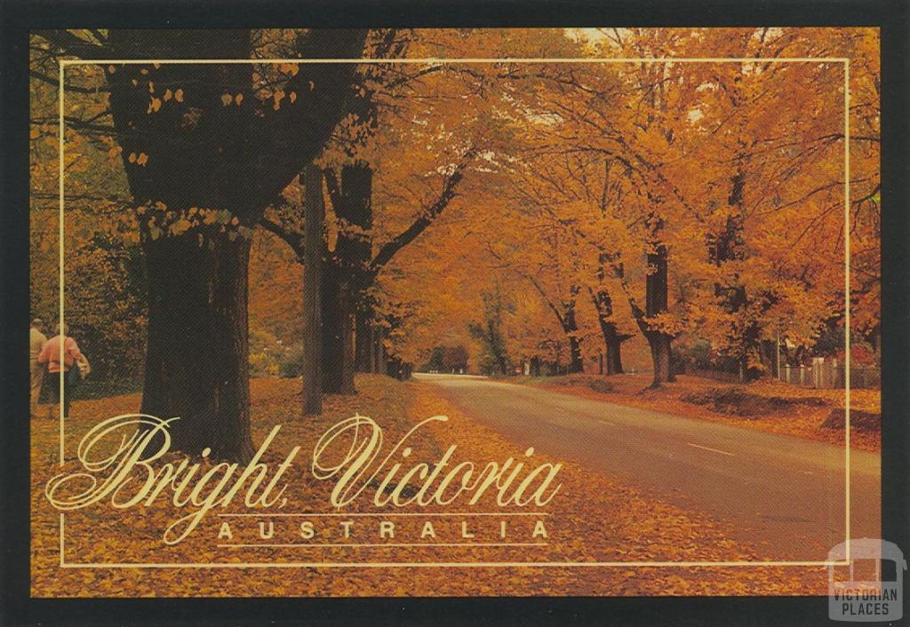 Delany Avenue, Bright Delany Avenue, Bright