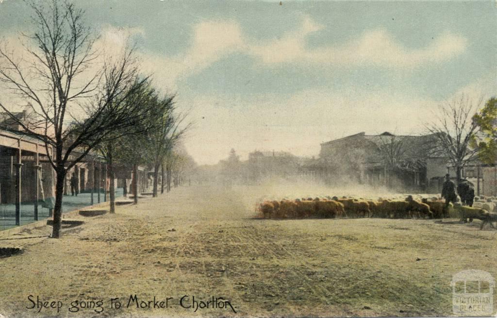Sheep going to Market, Charlton