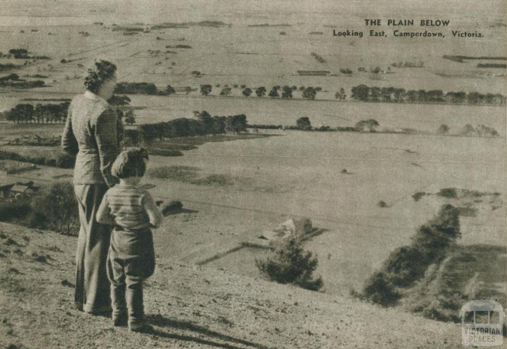Looking east, Camperdown, 1954