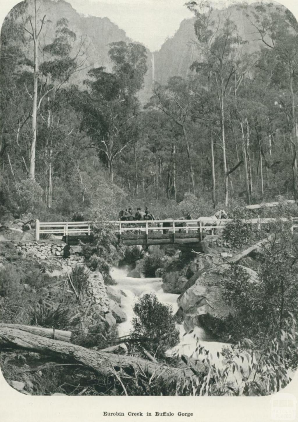 Eurobin Creek in Buffalo Gorge, 1918