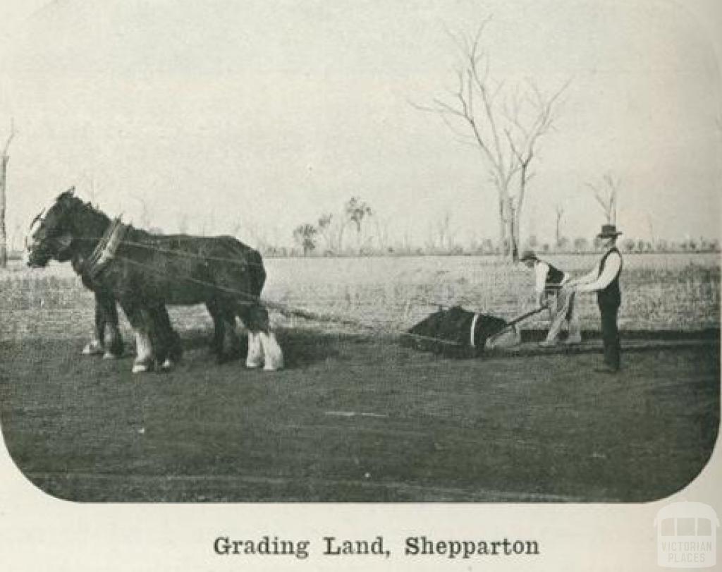 Grading land, Shepparton, 1918