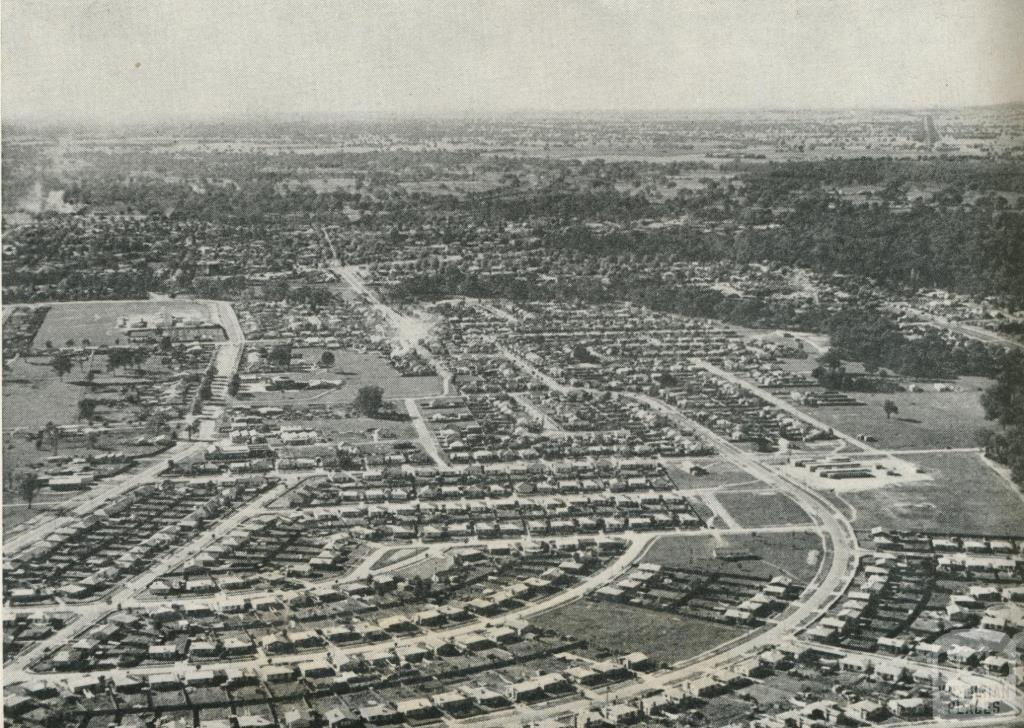 Aerial View of Housing Commission Homes, Wangaratta, 1960