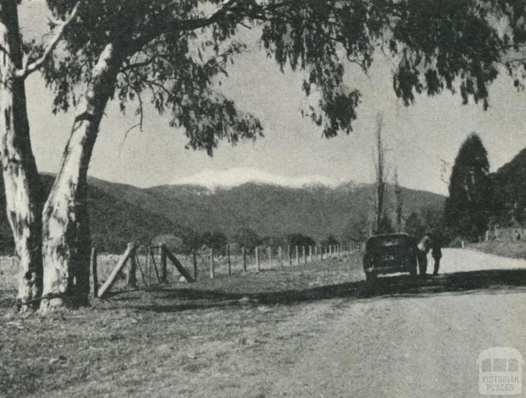 Harrietville Road, showing Mount Hotham, 1960