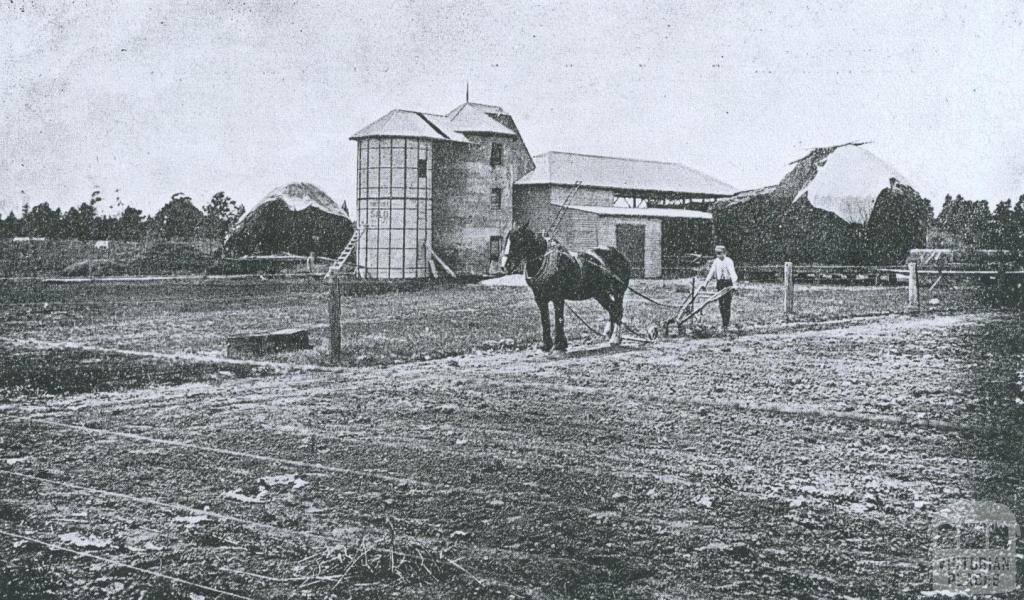 Ploughing, Ballarat Agricultural High School, 1916