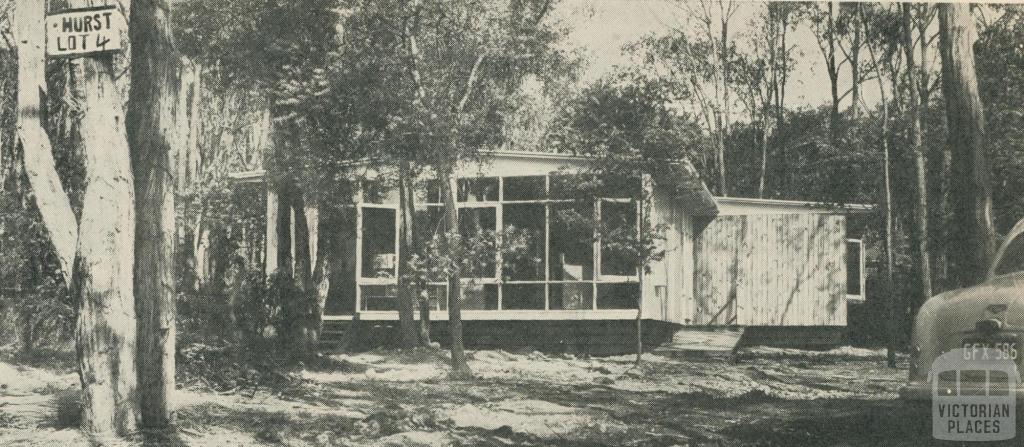 House in bush setting at Mitcham, 1958