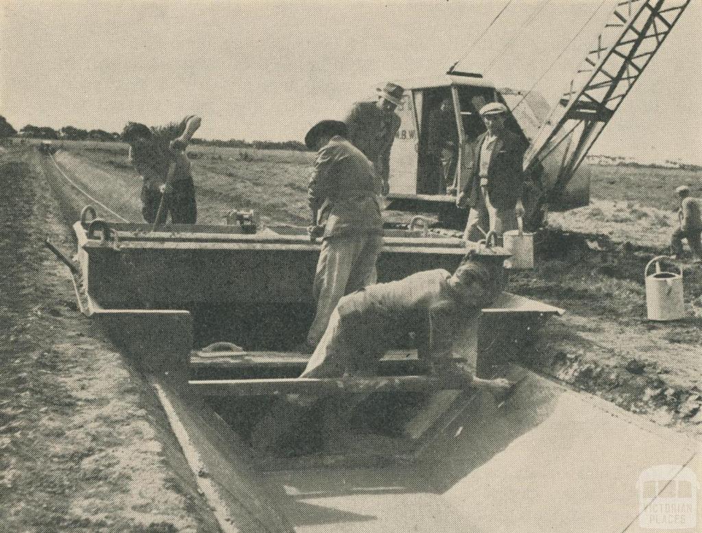 Metropolitan Farm, 1955