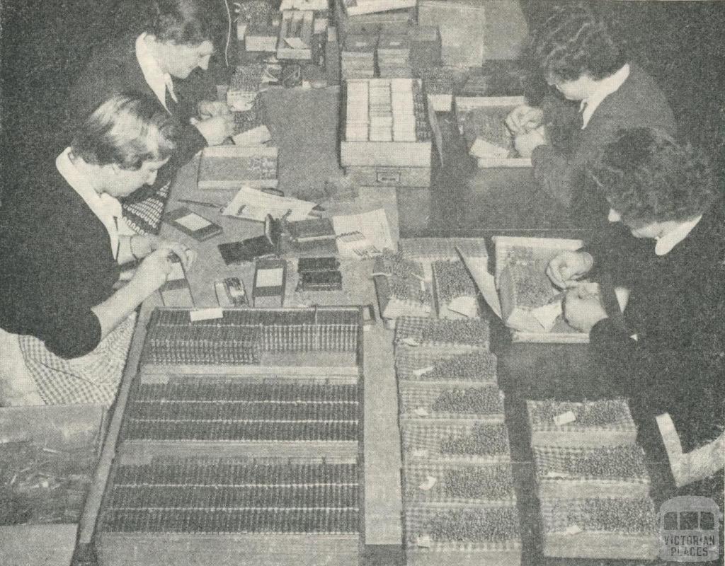 Packing Hypodermic Needles at a Portland Factory, 1960