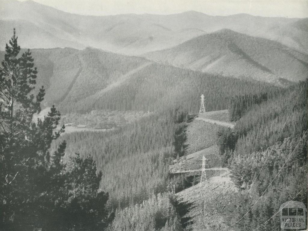 Pine Forest and S.E.C. Powerlines to Melbourne, Bright Shire, c1960