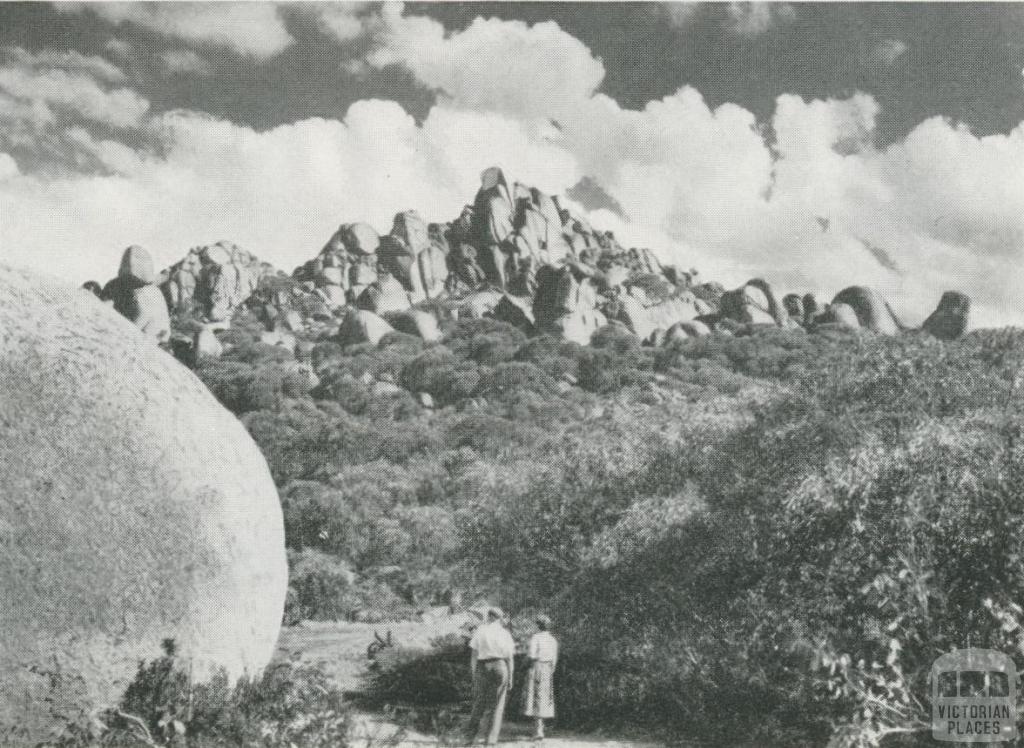 The Horn, highest peak on the Buffalo Plateau, c1960