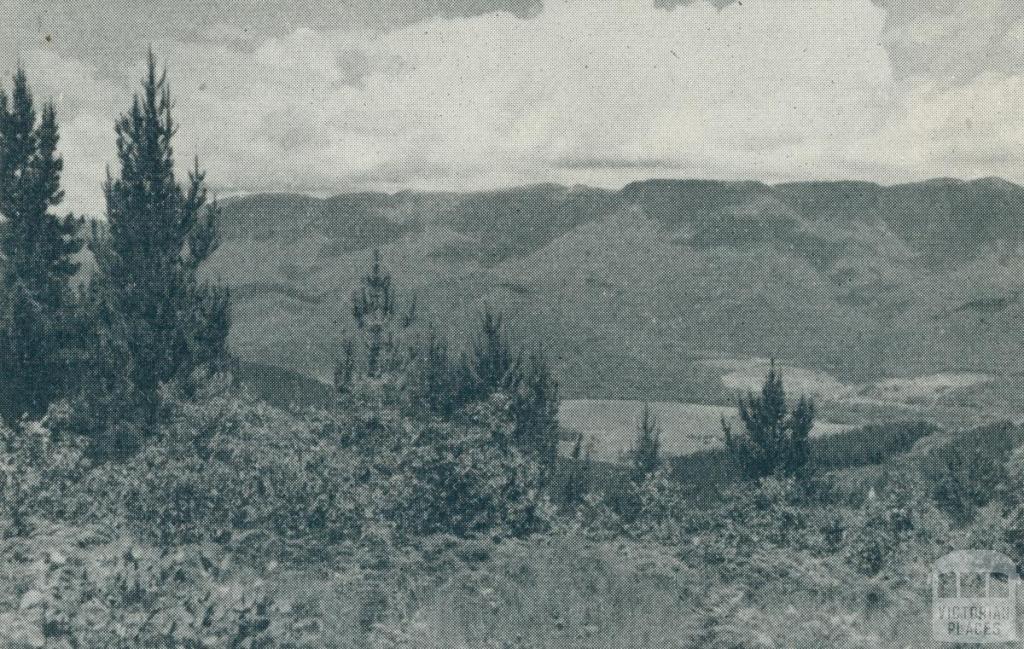 Alpine country, from Mount Buffalo, 1951