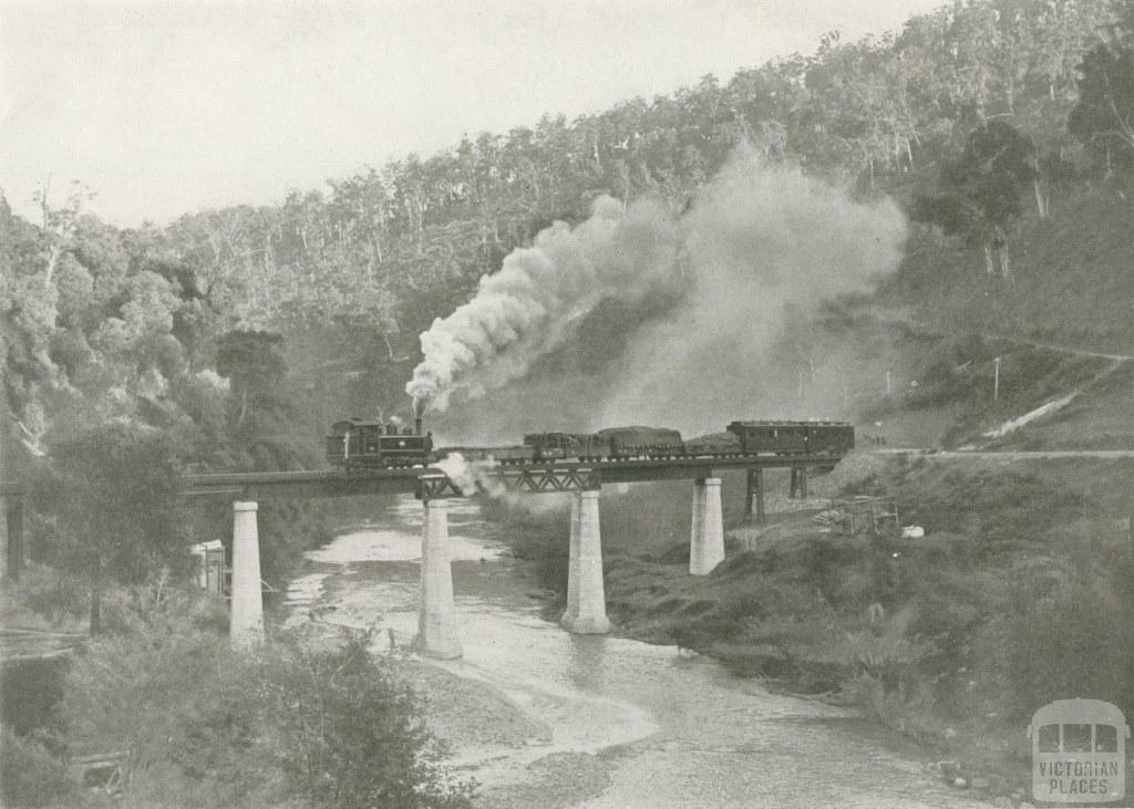 Train crossing the Thomson River, Walhalla, c1910