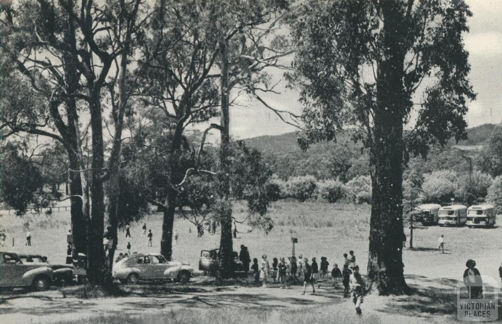 Picnic Ground, Woodend, 1959