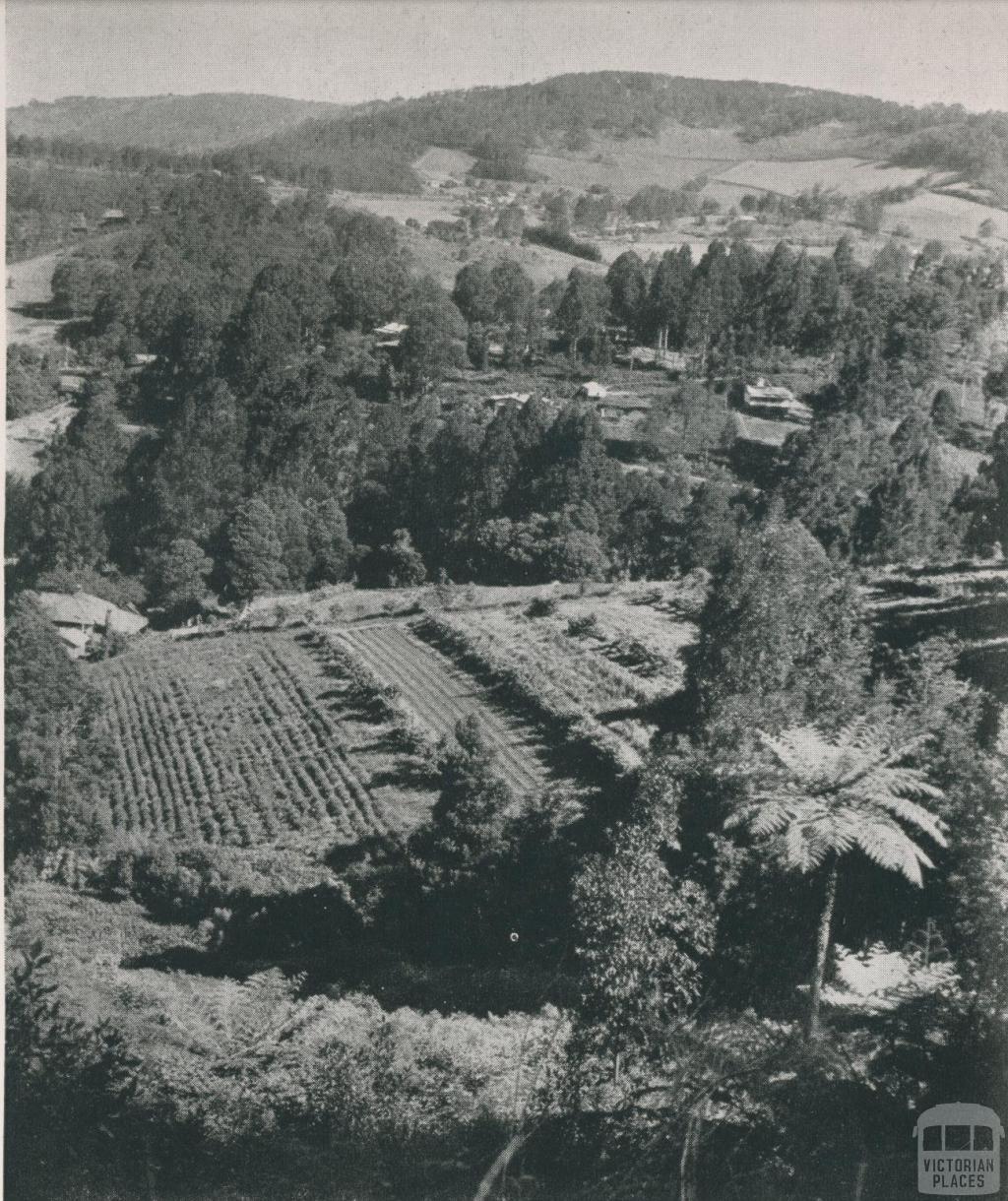 Overlooking The Patch, 1955