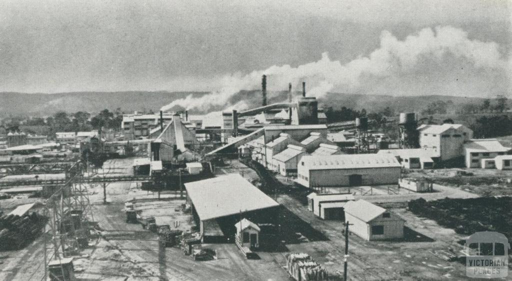Paper pulp and kraft mill, Maryvale, 1955