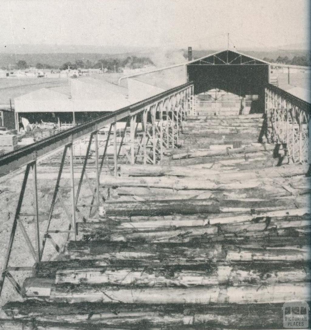 Timber mill gantry for handling logs, Heyfield, 1955