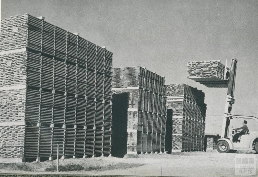 Fork lift truck stacking timber for air drying, Heyfield, 1955