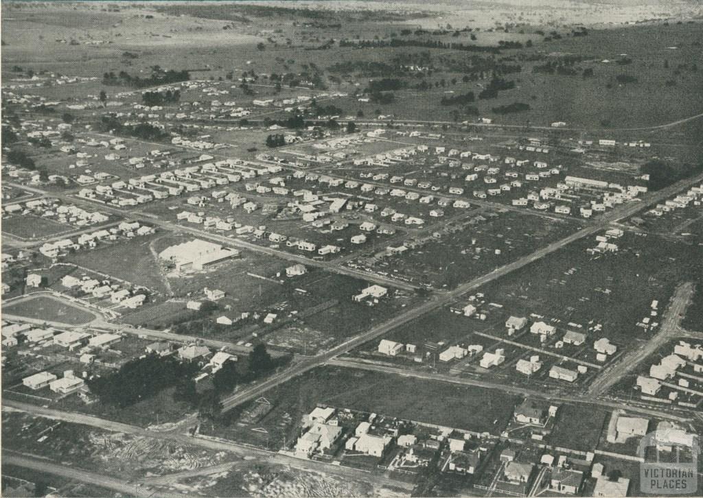 Aerial view of the housing area, Traralgon, 1951