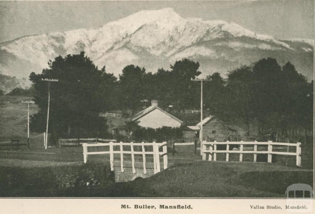 Mount Buller, Mansfield, 1919