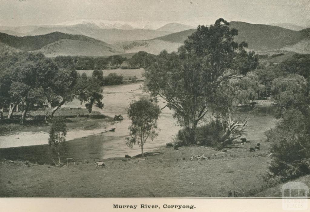 Murray River, Corryong, Upper Murray Shire, 1919