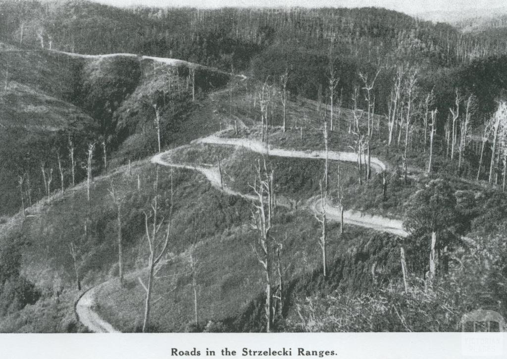 Roads in Strzelecki Ranges, 1946