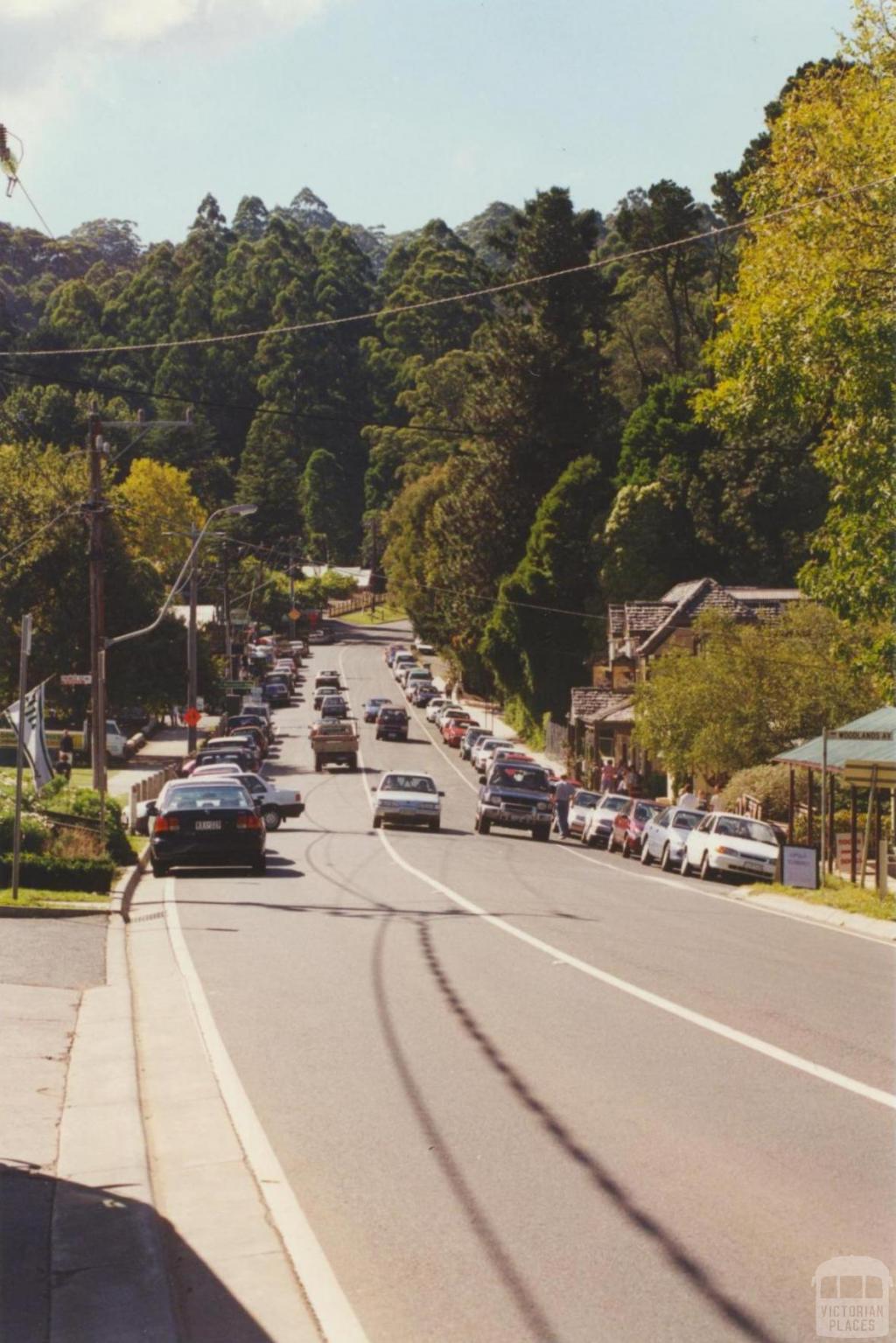 Sassafras, 2000