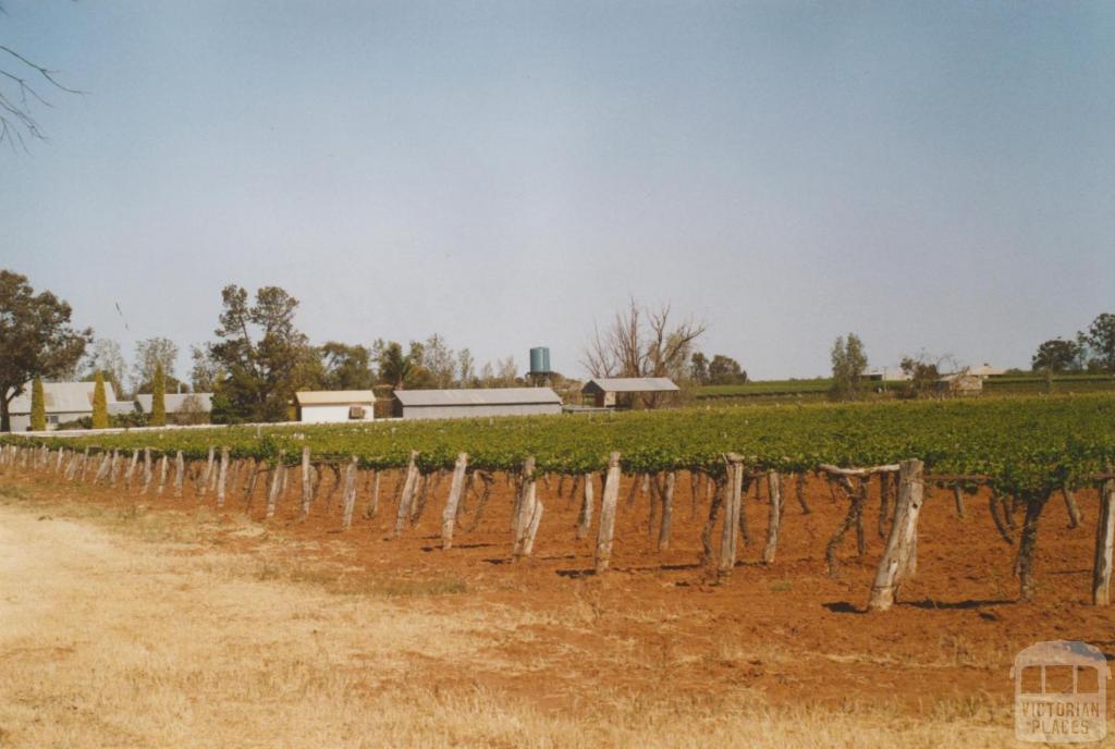 Vinifera, 2007