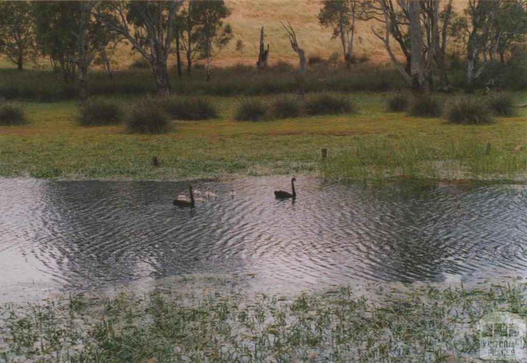 Glenelg River, Casterton, 2008