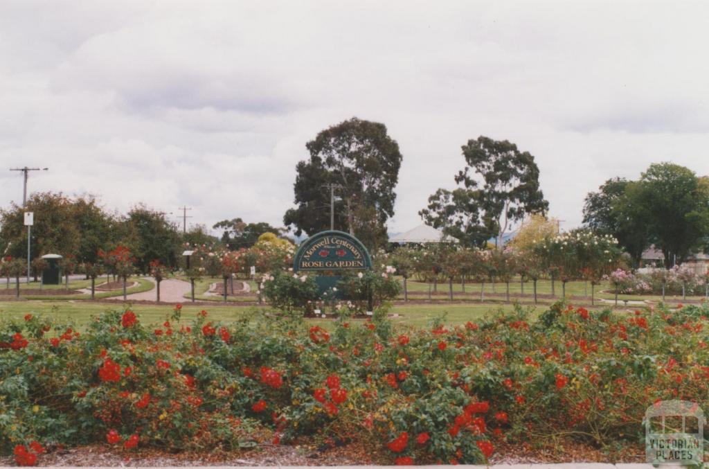 Morwell centenary rose garden, 2010