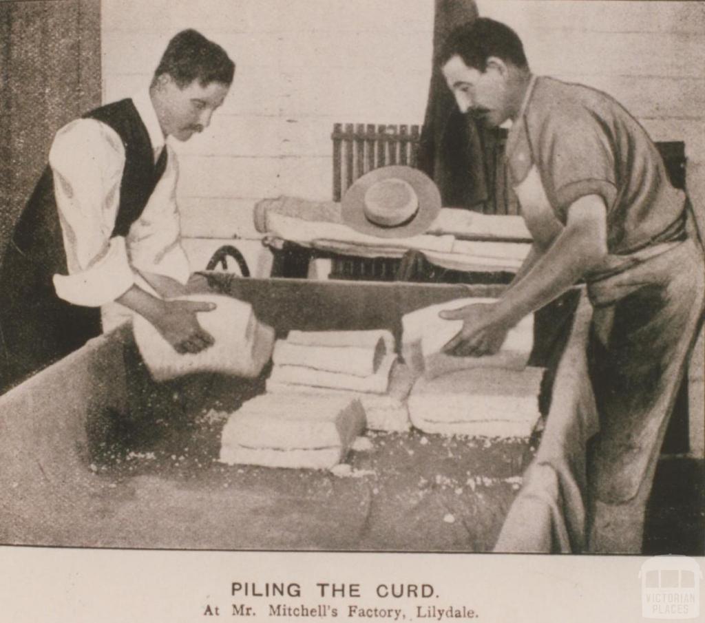 Piling the curd at Mr Mitchell's factory, Lilydale, 1905