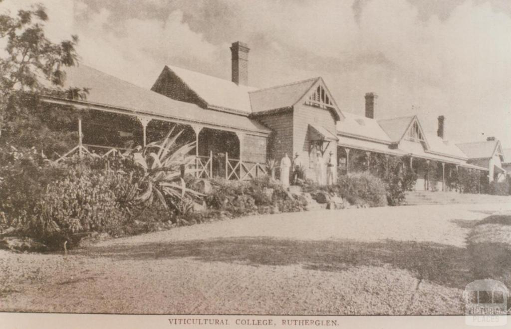 Viticultural College, Rutherglen, 1910