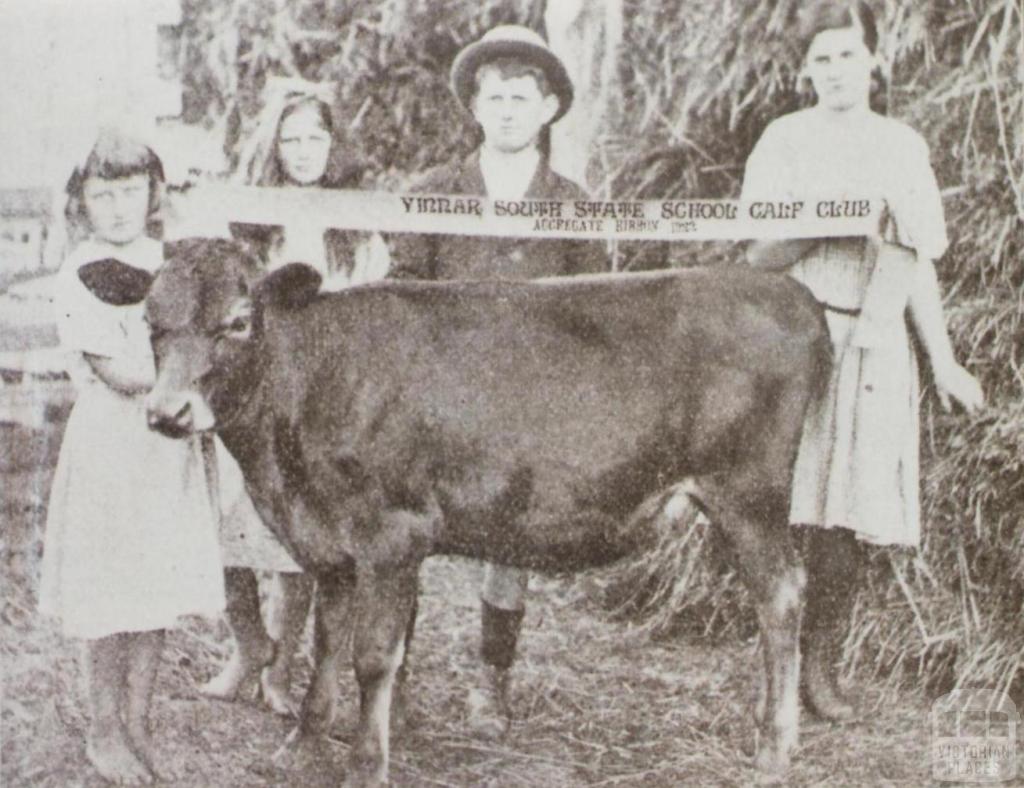 Children with prize calf, Yinnar South, 1923