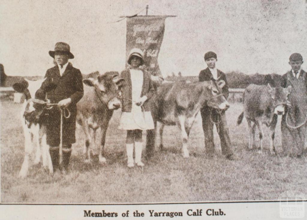 Yarragon calf club, 1931