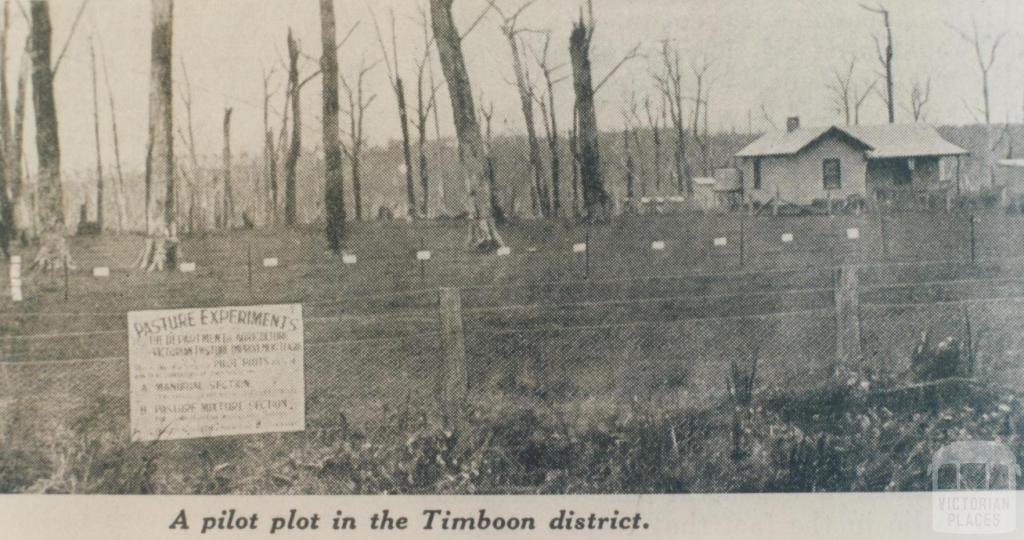 Pilot plot, Timboon district, 1936