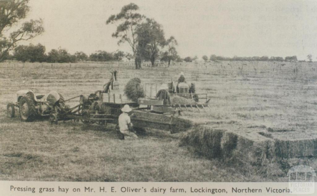 Pressing hay on Mr H.E. Oliver's farm, Lockington, 1952