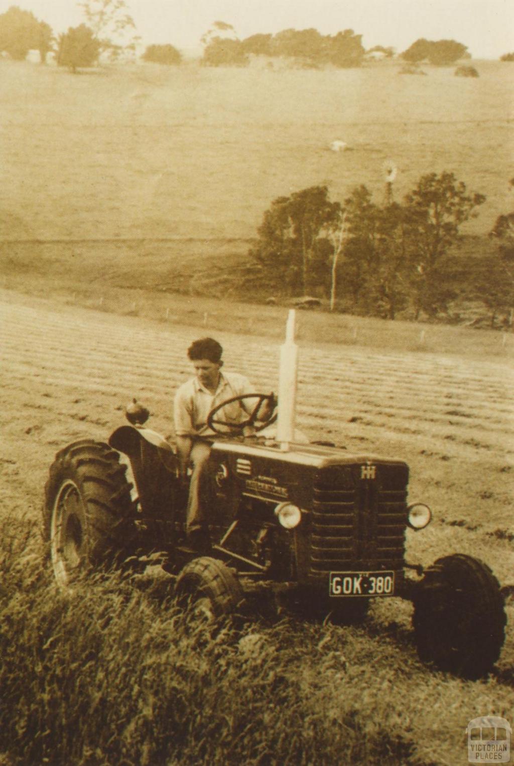 Mowing pasture, Bona Vista, Nilma near Warragul, 1958