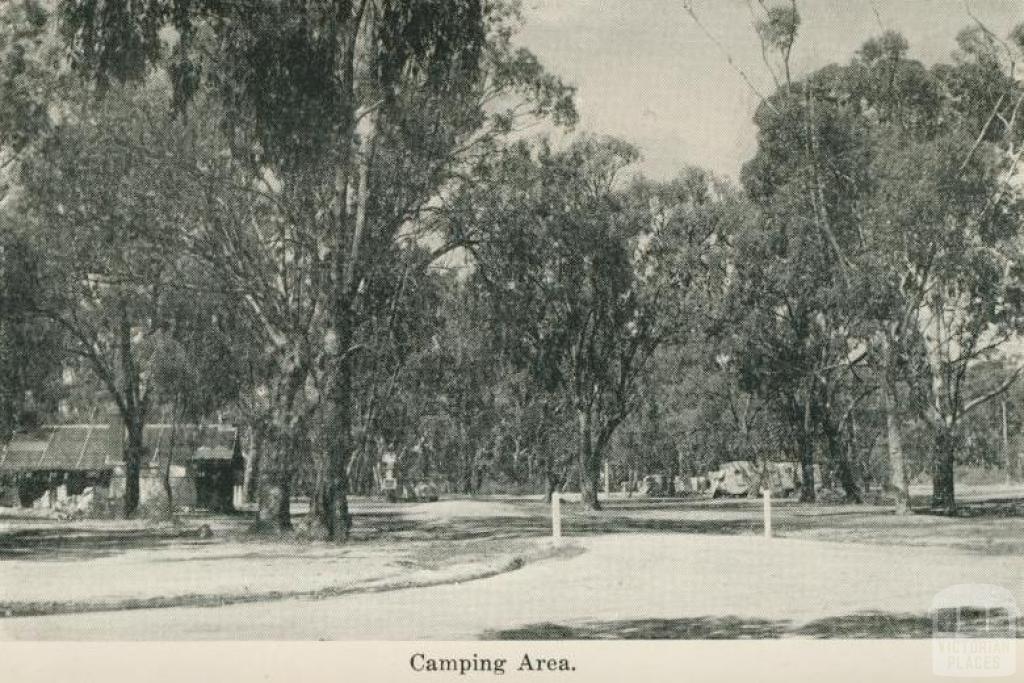Camping area, Echuca, 1955