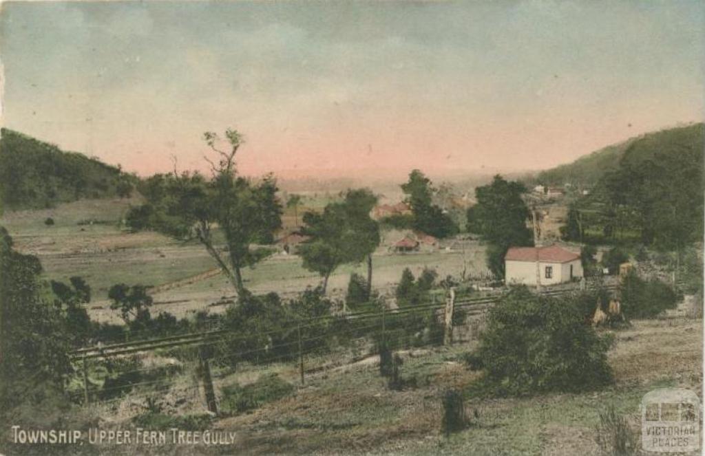 Township, Upper Ferntree Gully, 1907