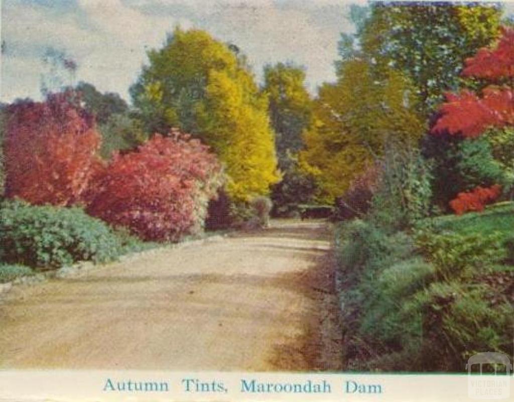 Autumn tints, Maroondah Dam, Healesville