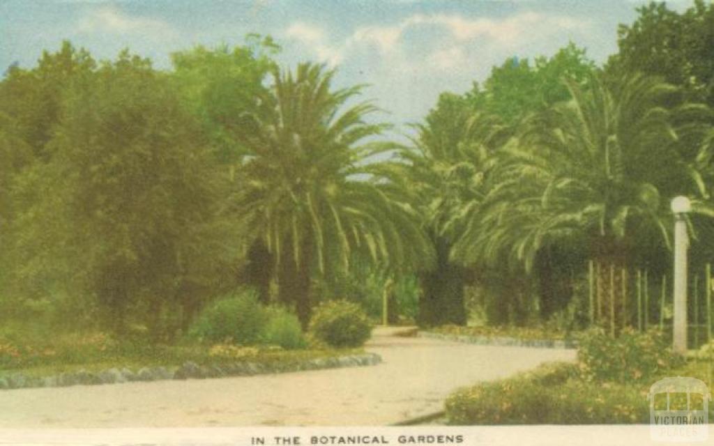 In the Botanical Gardens, Horsham, 1951