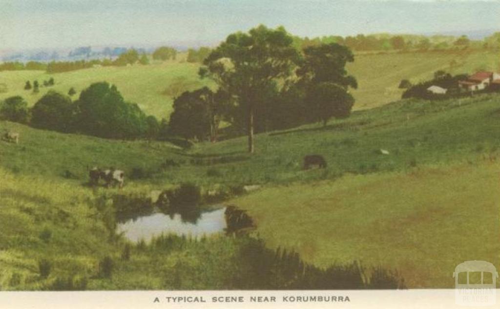 A typical scene near Korumburra