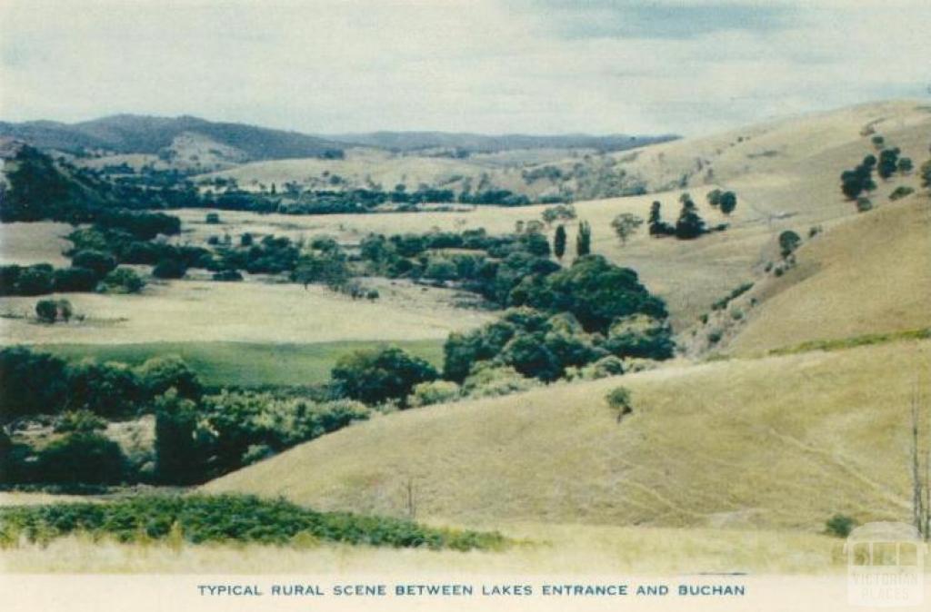 Typical rural scene between Lakes Entrance and Buchan, 1955