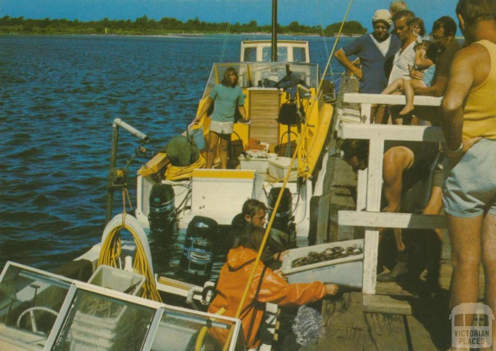 On the Mallacoota wharf as the abalone catch is unloaded