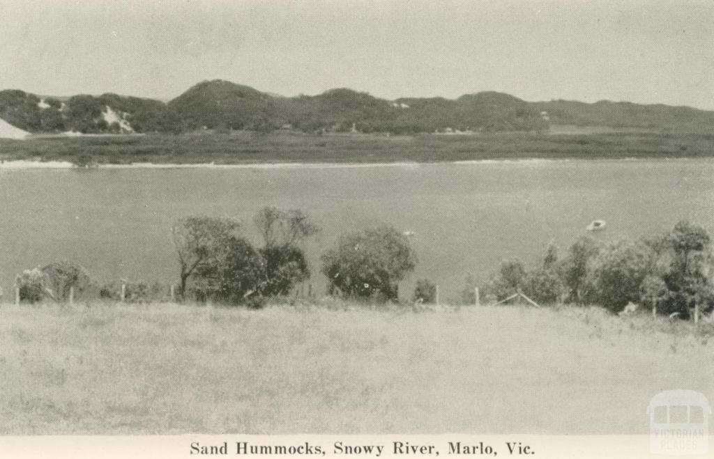 Sand Hummocks, Snowy River, Marlo, 1963