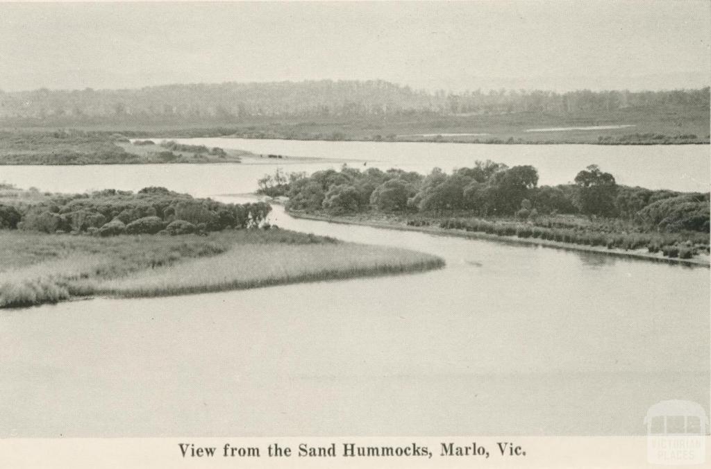 View from the Sand Hummocks, Marlo, 1963