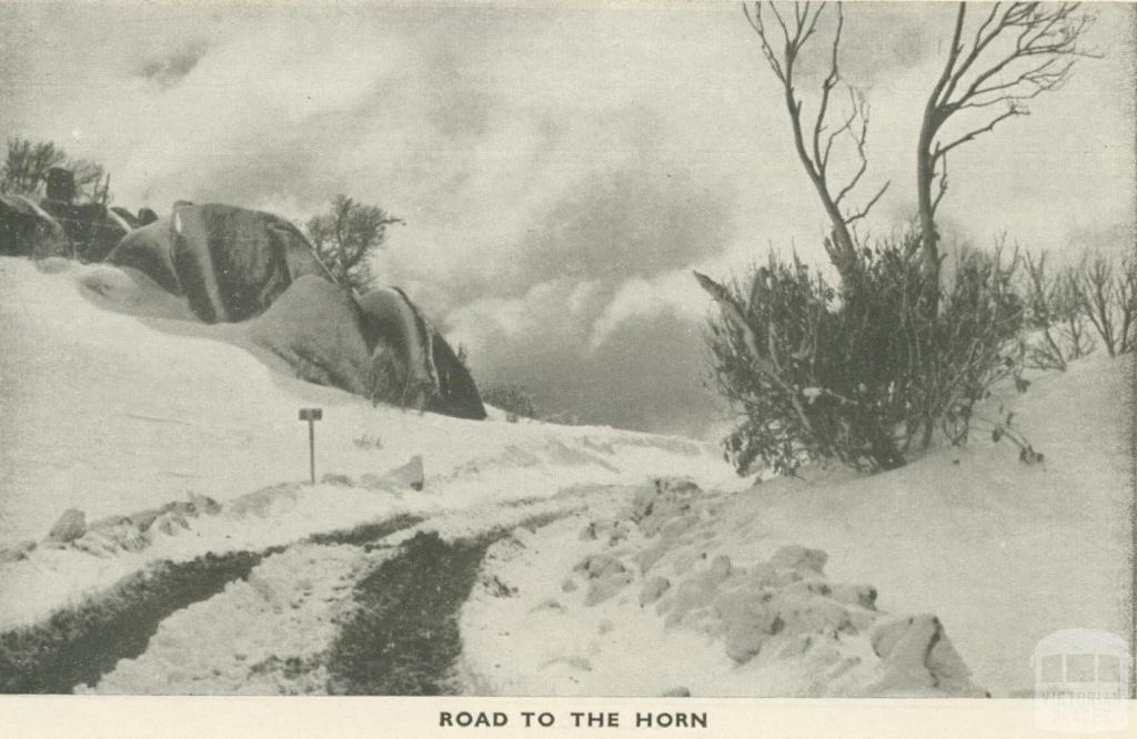 Road to the Horn, Mount Buffalo, 1953