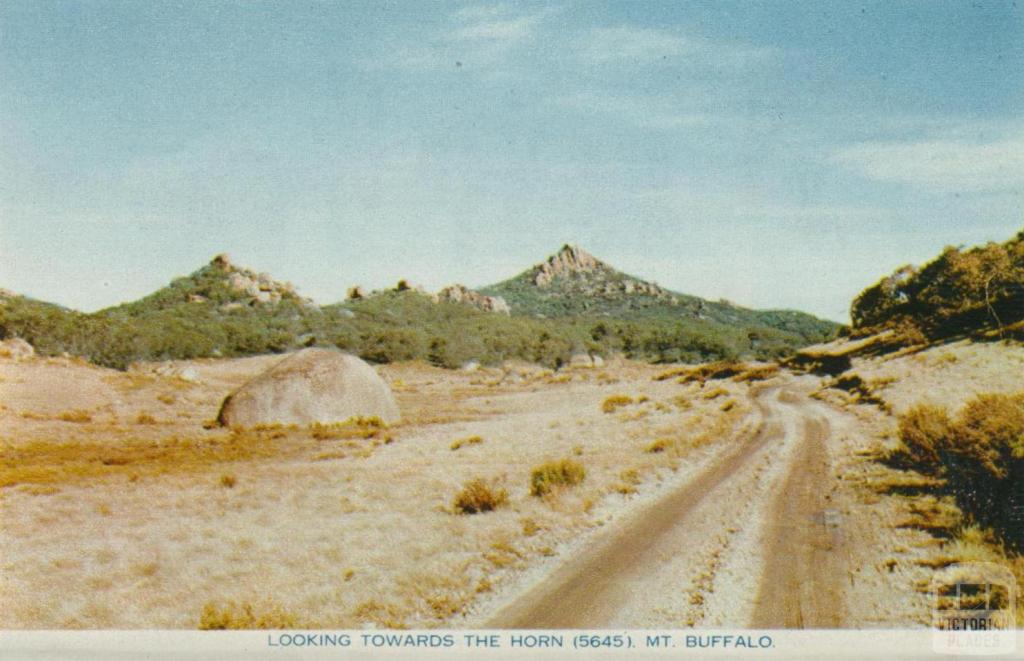 Looking towards the Horn (5645), Mount Buffalo, 1958