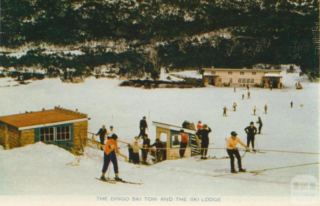 The Dingo Ski Tow and Ski Lodge, Mount Buffalo, 1958
