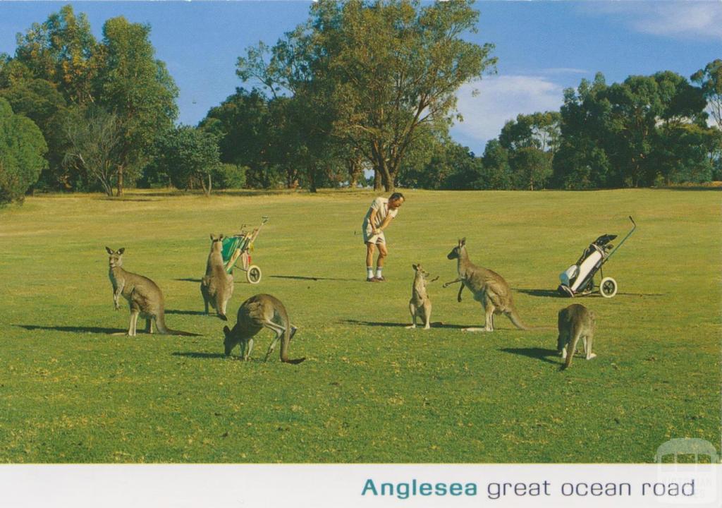 Anglesea, Great Ocean Road