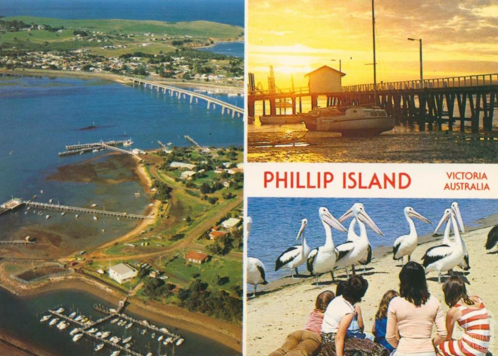 Aerial overlooking San Remo, Sunrise at Newhaven and Pelicans, Phillip Island, 1983