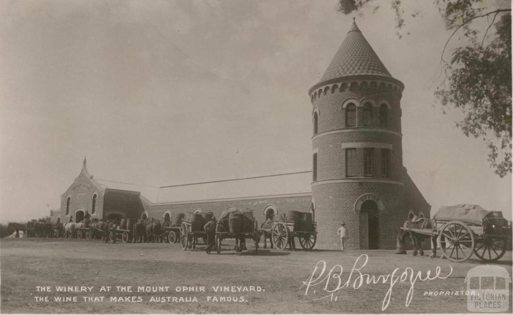 The winnery at the Mount Ophir vineyard, 1908